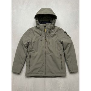 8039 Beluga